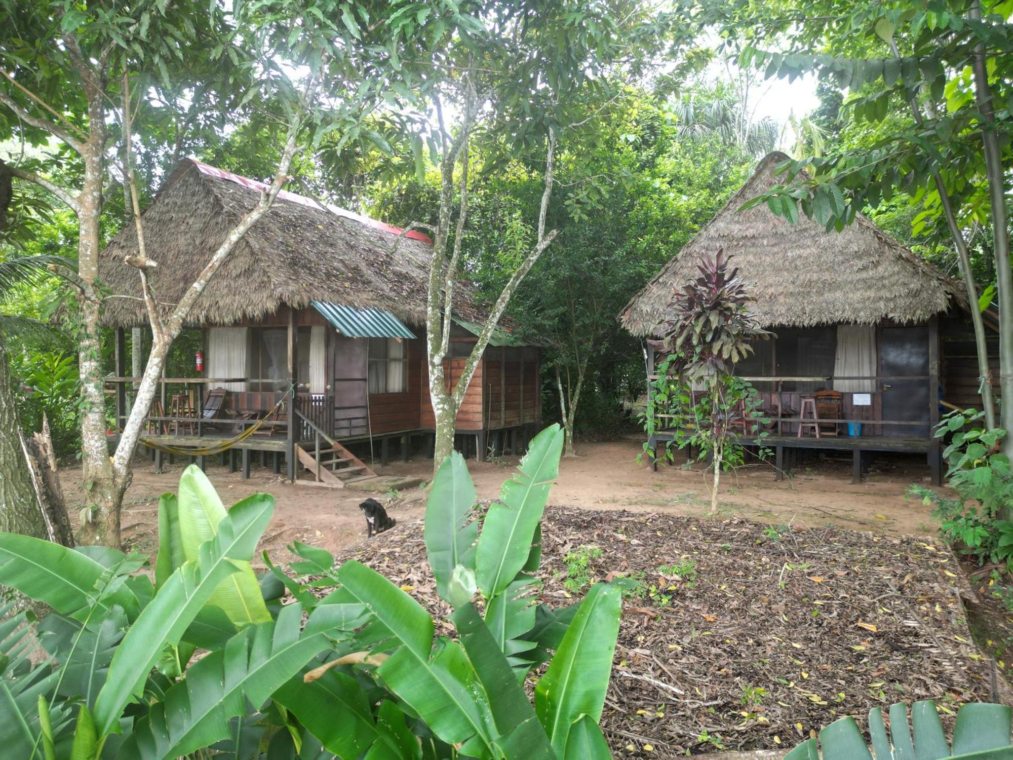Tambopata River Lodge