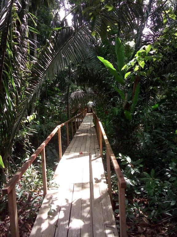 Lodge Tambopata River